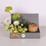 Green Serenity Tiramisu