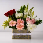 Vivid Greetings