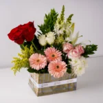 Vivid Greetings - Image 2