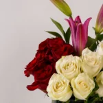 I Care - Image 2