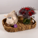 Baby Sheep