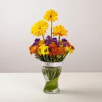 Sunny Day - Image 4