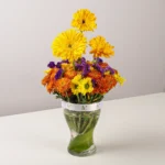 Sunny Day - Image 3
