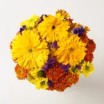 Sunny Day - Image 2