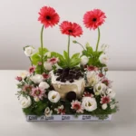 Oreo Blossom Delight