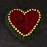 Pleasant Companion - Image 2