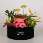 Latte Treasure Box - Image 3