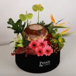Latte Treasure Box - Image 2