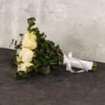 Best Night - Image 2