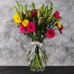 Cheer Up - Image 2
