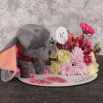 Cute Dumbo