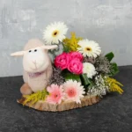 Cutie Sheepie