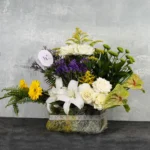 Radiant Touch - Image 3