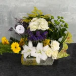 Radiant Touch - Image 4