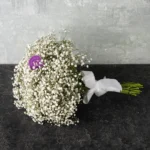 Your Day in White