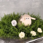 Peekaboo Sheep - Image 2