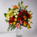 Sunshine - Image 2